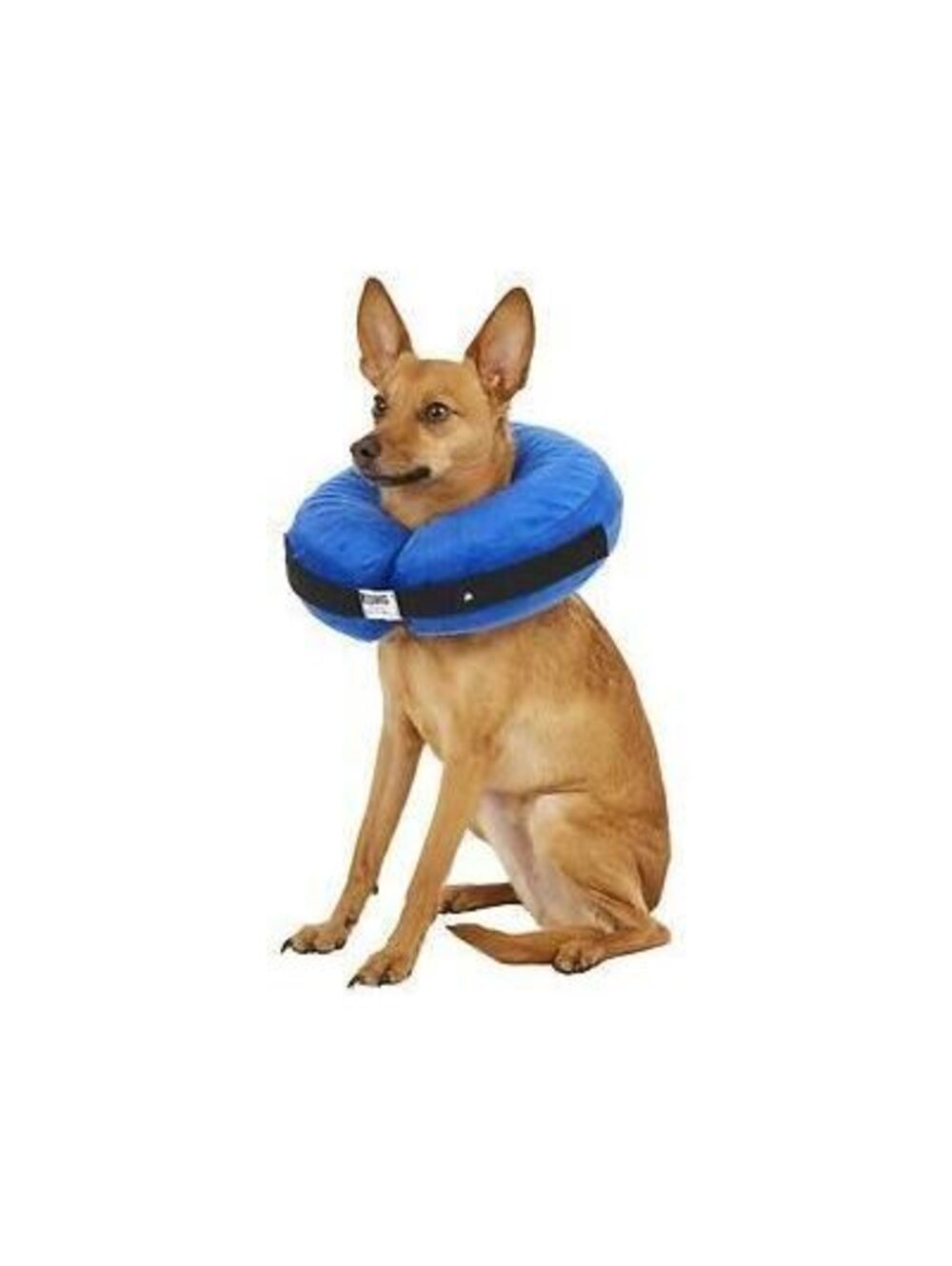 KONG® Cloud Recovery Collar  Scratch and Bite Resistant Medium
